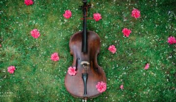 Jay Emme Cellist Wedding Music Entertainer